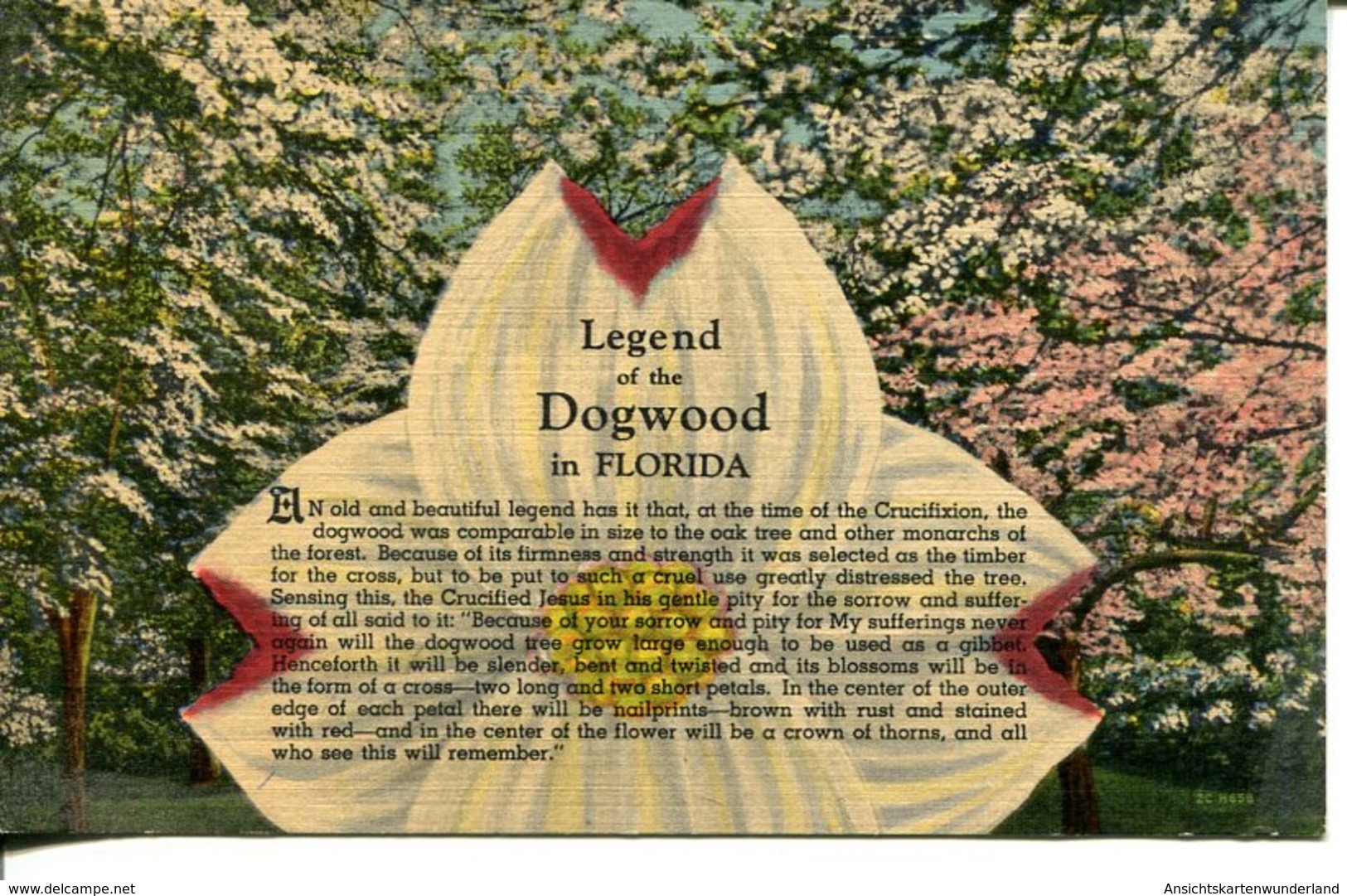 006122  Legend Of The Dogwood In Florida - Sonstige & Ohne Zuordnung