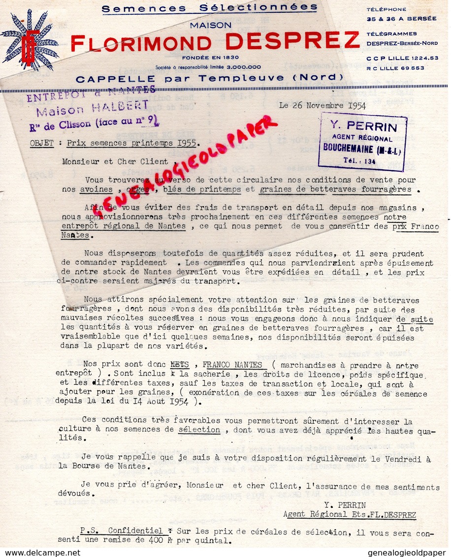 59- CAPPELLE PAR TEMPLEUVE-LETTRE FLORIMOND DESPREZ-GRAINS GRAINES HORTICULTURE AGRICULTURE-1954 - Agriculture