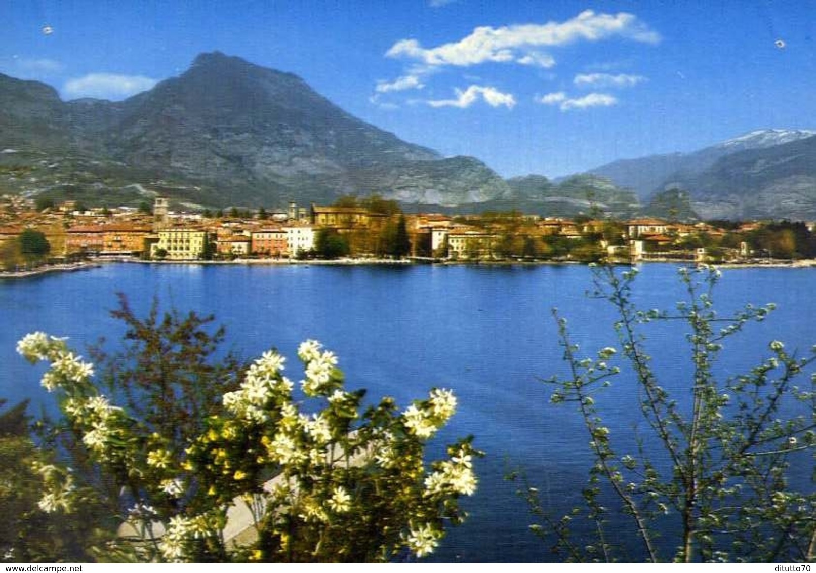 Riva - Panorama - Lago Di Garda - 2478 - Formato Grande Viaggiata – E 10 - Trento