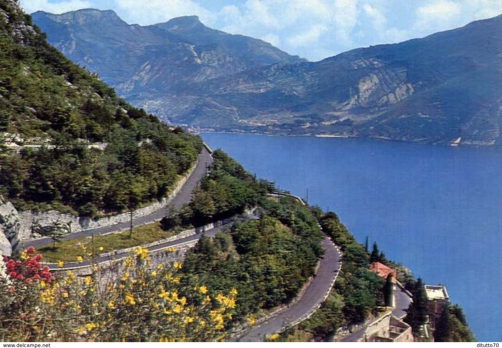 Riva - Strada Del Ponale - Lago Di Garda - 2908 - Formato Grande Non Viaggiata – E 10 - Trento