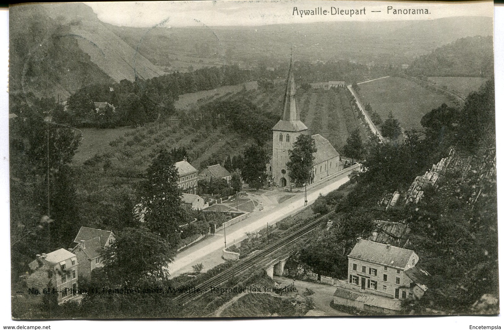 CPA - Carte Postale - Belgique - Aywaille Dieupart - Panorama - 1916 (M7374) - Aywaille