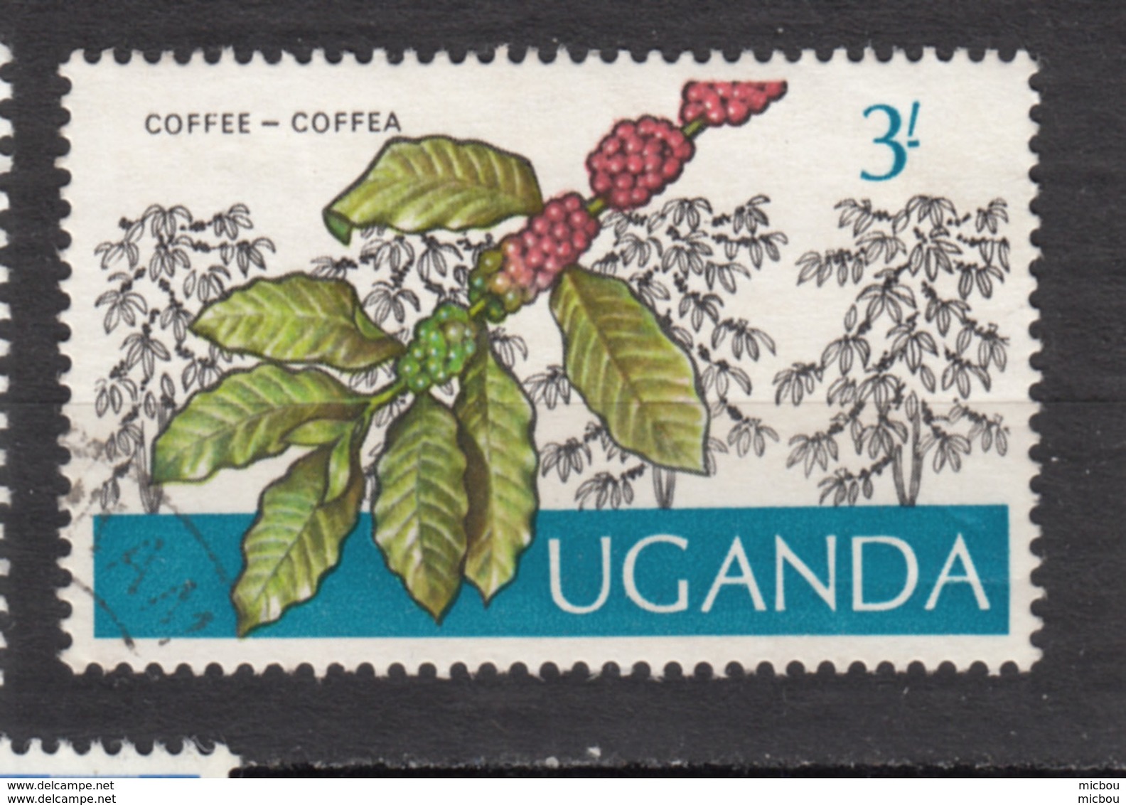 Uganda, Ouganda, Café, Coffee - Alimentation