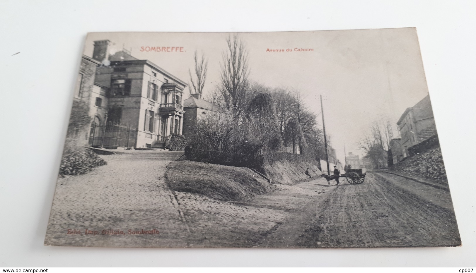 *SOMBREFFE  Avenue Du Calvaire Attelages Chien? Oblitéré Début 1900 - Sombreffe