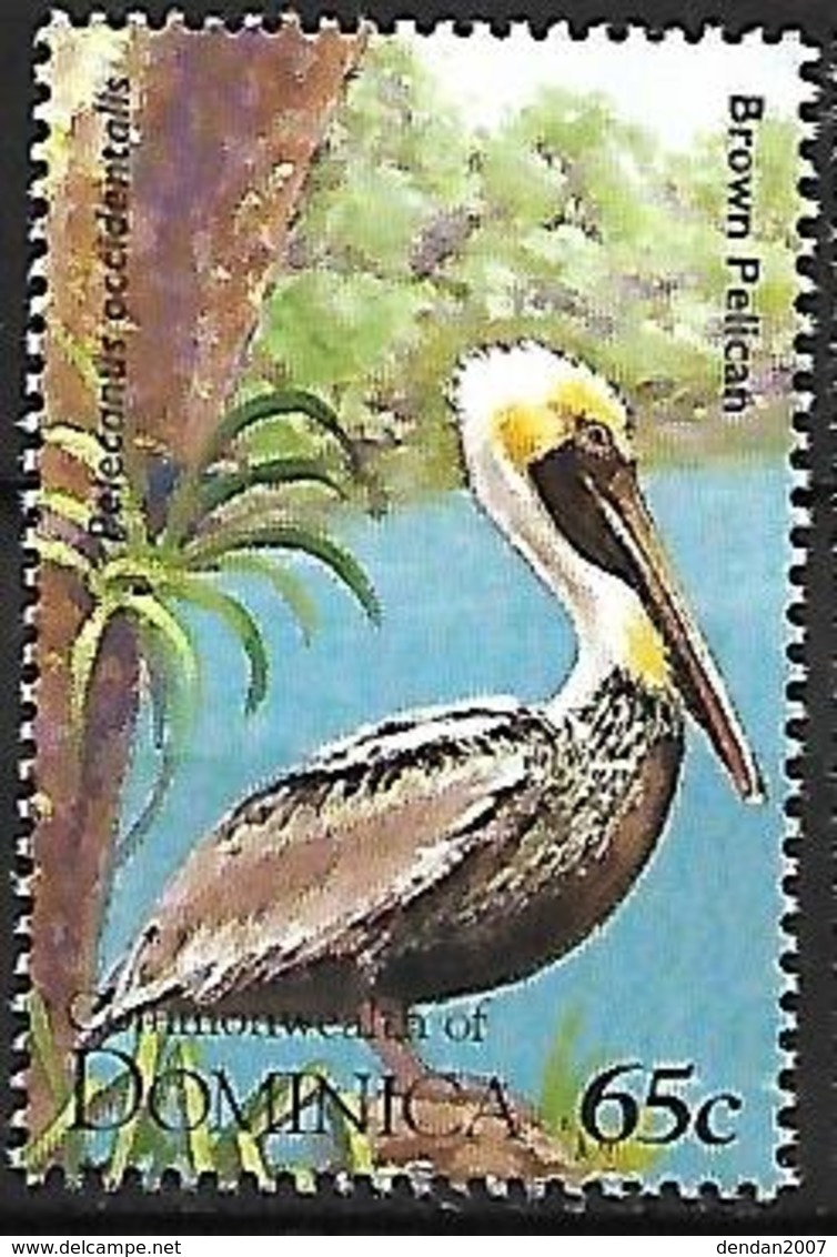Dominica - 1995 - MNH -  Brown Pelican  -  Pelecanus Occidentalis - Pelícanos
