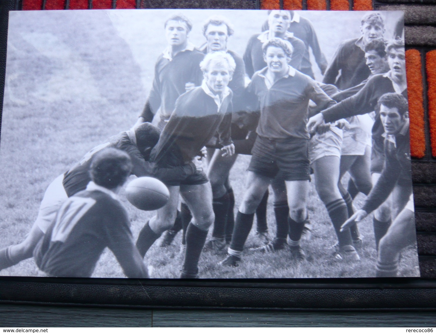 Photo Presse RUGBY SPRINGBOCKS MIDLAND COUNTIES 1969 31 X 20 Cm - Rugby