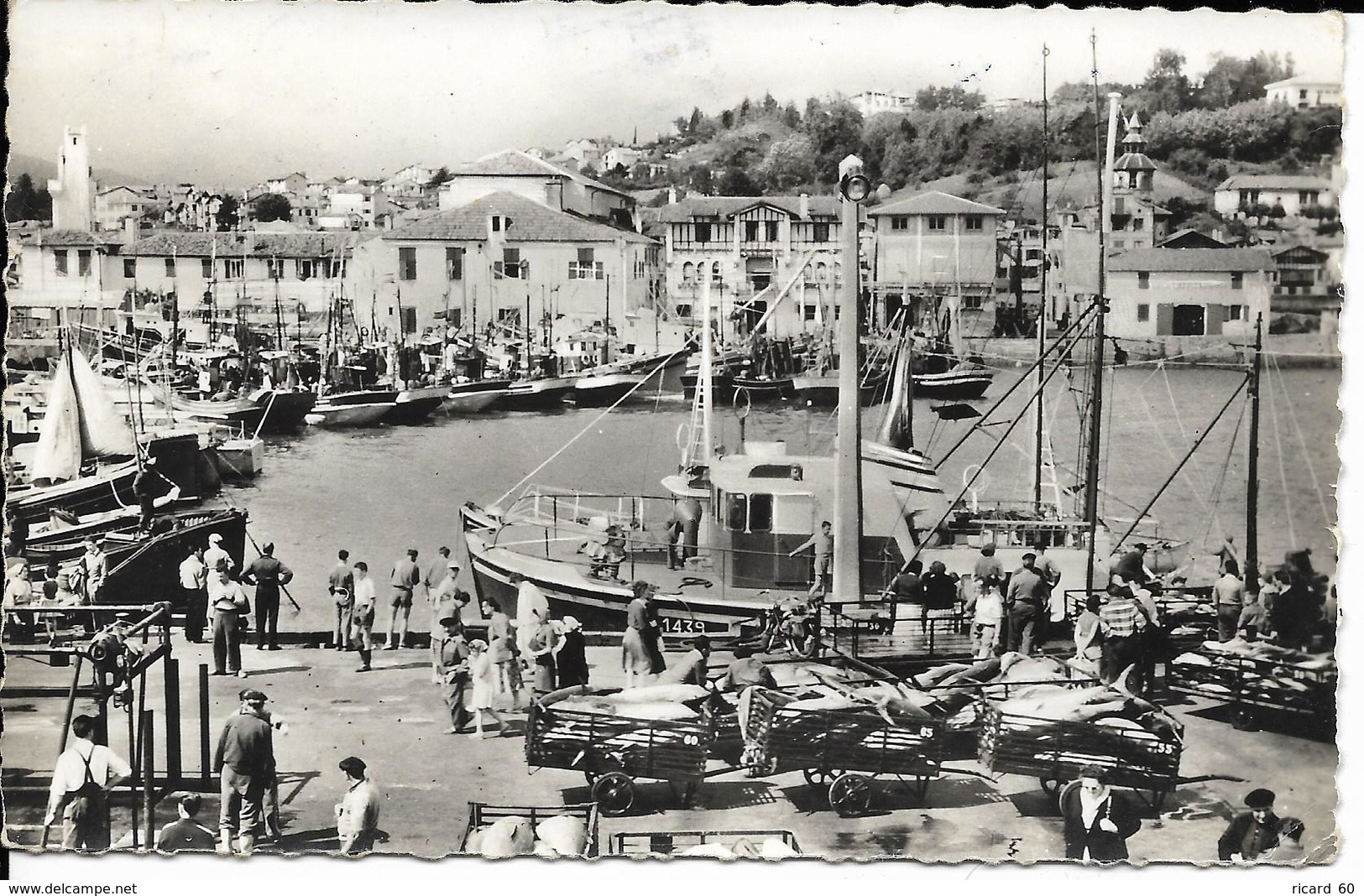 Cpsm St Jean De Luz, Le Port, Animée, Décharge Du Thon - Saint Jean De Luz