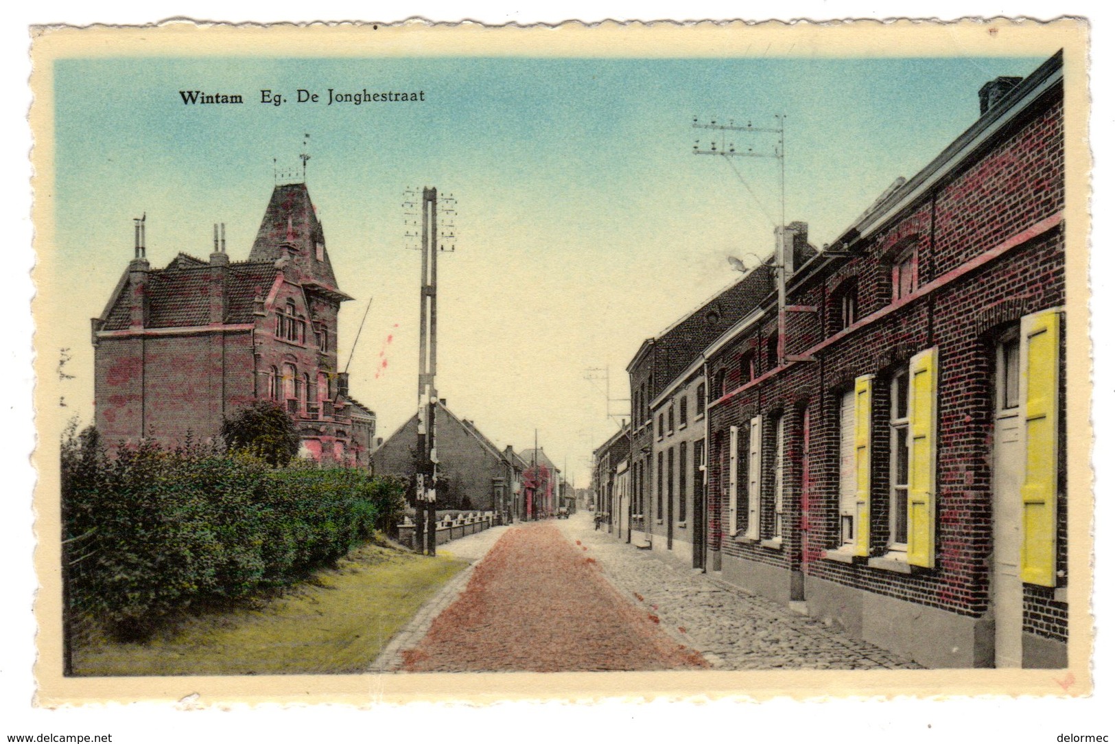 CPSM Colorisée Wintam Près Bornem Belgique Belgie Eg De Jonghestraat éditeur J Polfielt - Bornem