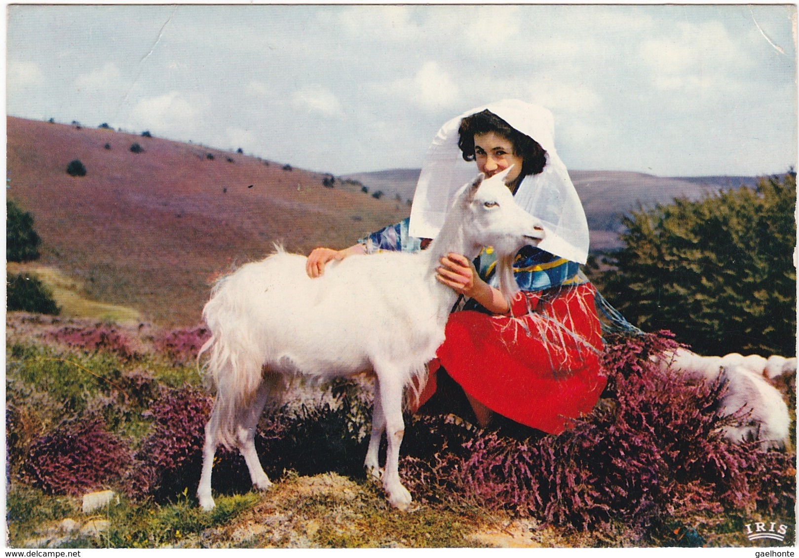 D990 LE LIMOUSIN PITTORESQUE - LES MONEDIERES - FEMME AVEC UNE CHEVRE - Costumi