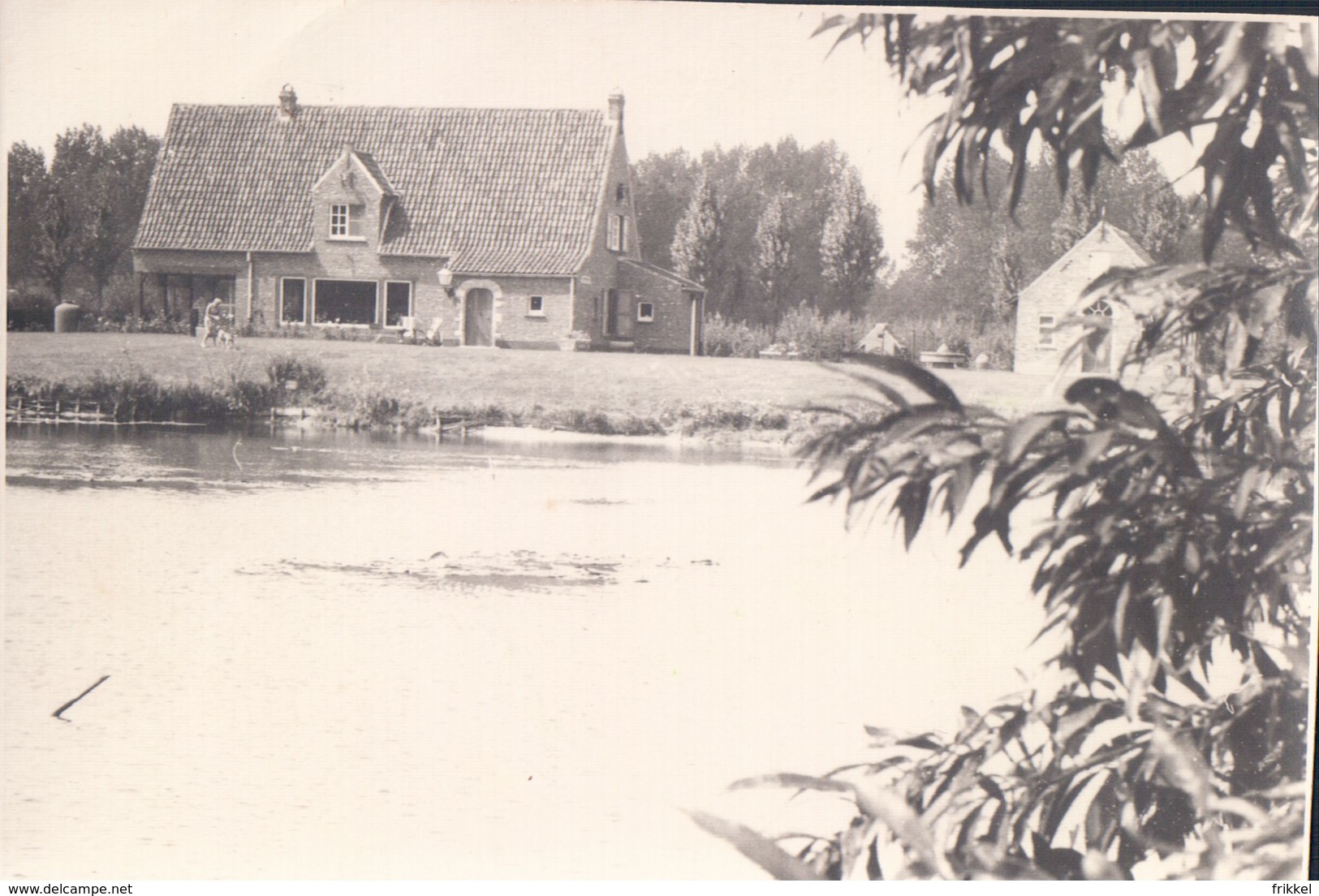 Foto Photo (8 X 11,5 Cm) Moerbeke ? 1974 - Moerbeke-Waas