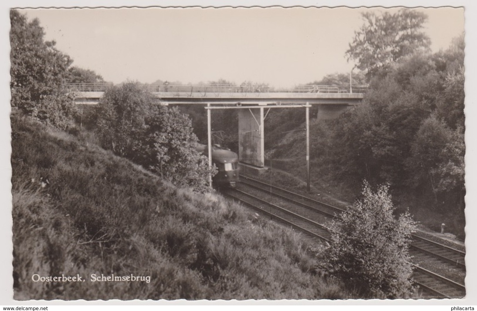 Oosterbeek - Schelmsebrug Met Trein - 1959 - Oosterbeek