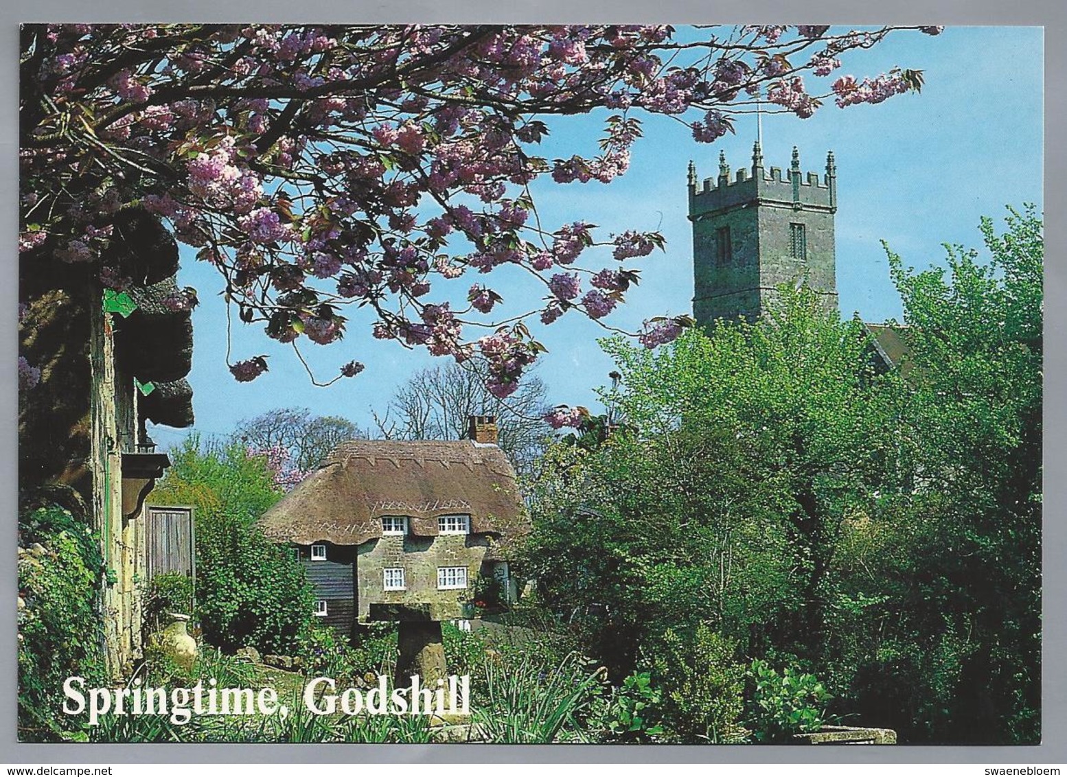 UK.- SPRINGTIME, GODSHILL, ISLE OF WIGHT. - Andere & Zonder Classificatie