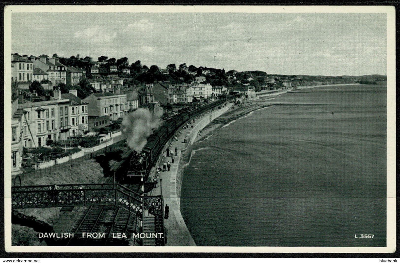 Ref 1276 - 1959 Postcard - Steam Railway And Dawlish From Lea Mount - Devon - Other & Unclassified