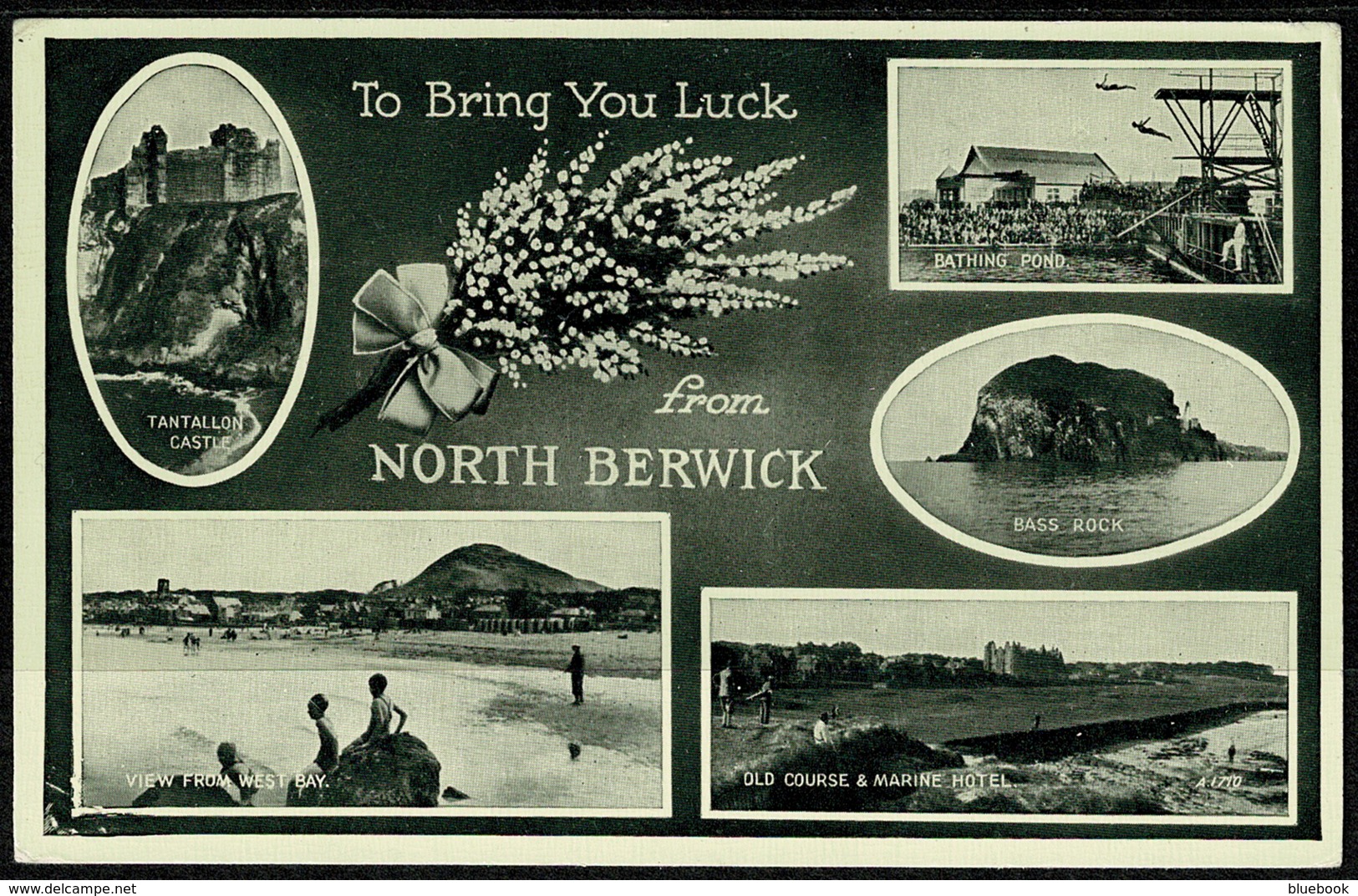 Ref 1276 - Multiview Postcard - North Berwick Scotland - Berwickshire