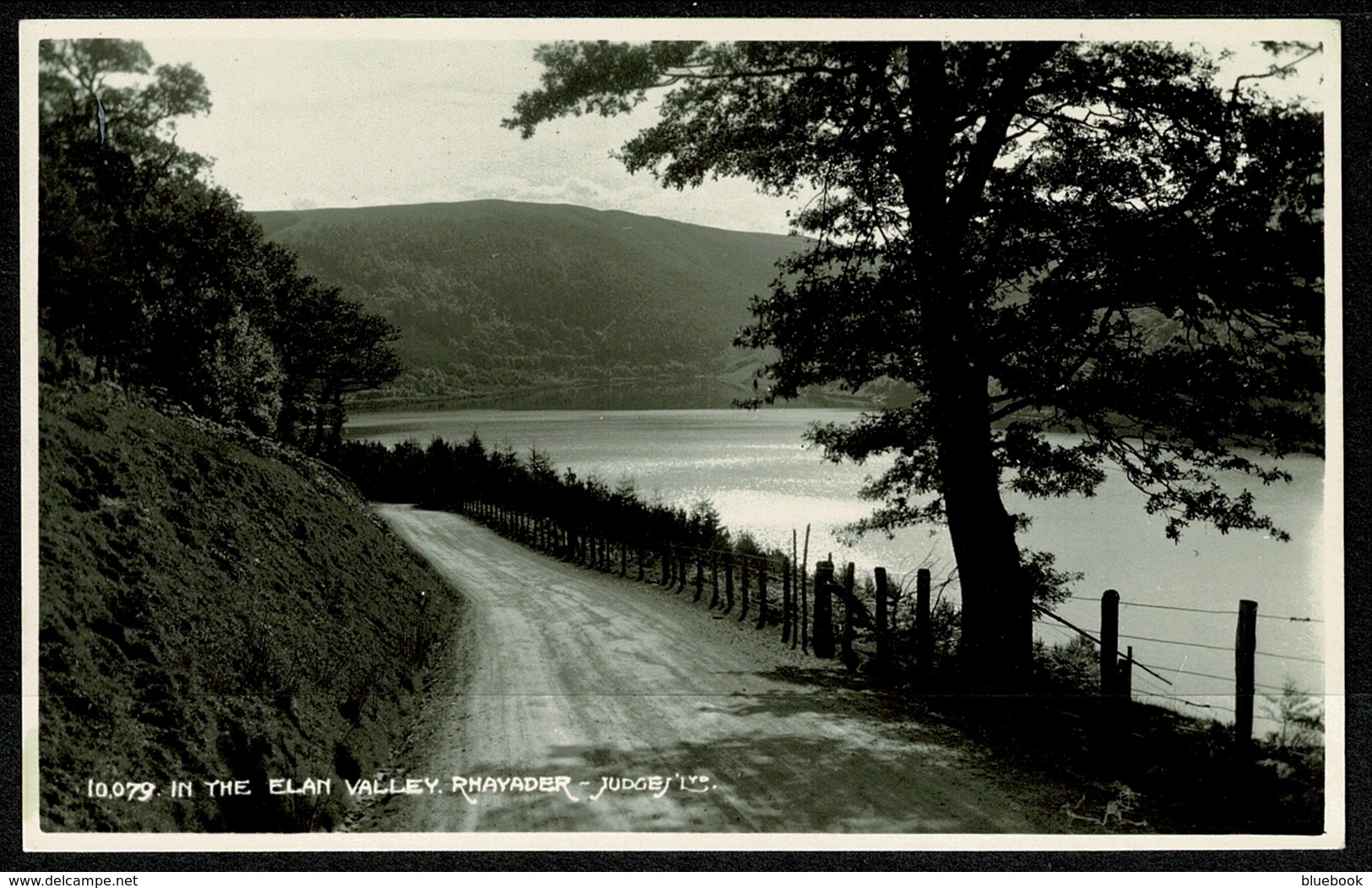 Ref 1276 - Judges Real Photo Postcard - In The Elan Valley - Rhayader Radnorshire Wales - Radnorshire