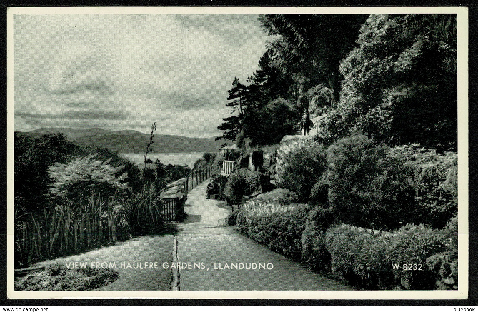 Ref 1277 - 1964 Postcard - View From Haulfre Gardens Llandudno - Caernarvonshire Wales - - Caernarvonshire