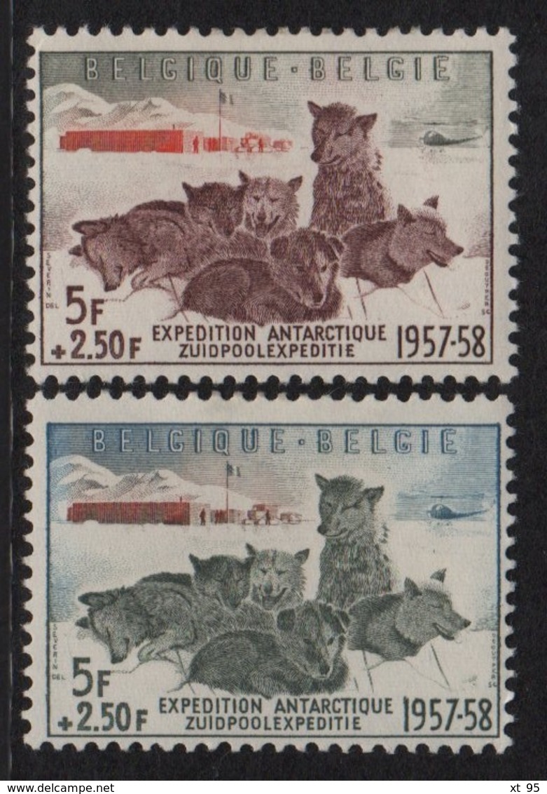Belgique - N°1030 + N°1031 - Expedition Antarctique Belge 1957-58 - * Neufs Avec Legere Trace De Charniere - Cote 33€ - Neufs