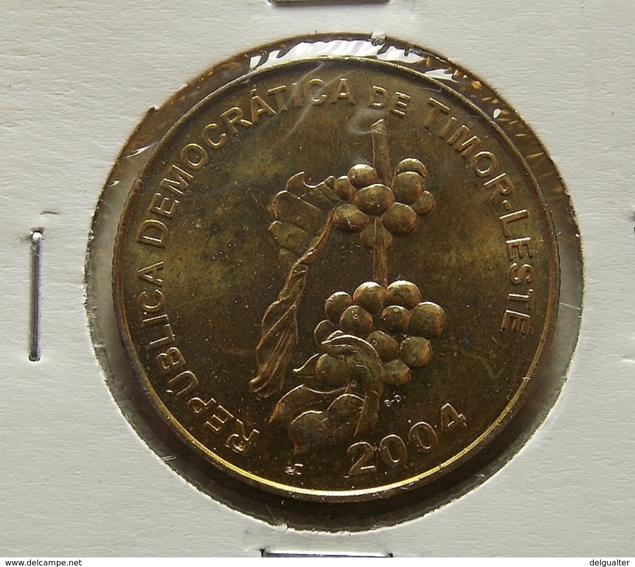 Timor-Leste 50 Centavos 2004 Varnished - Timor