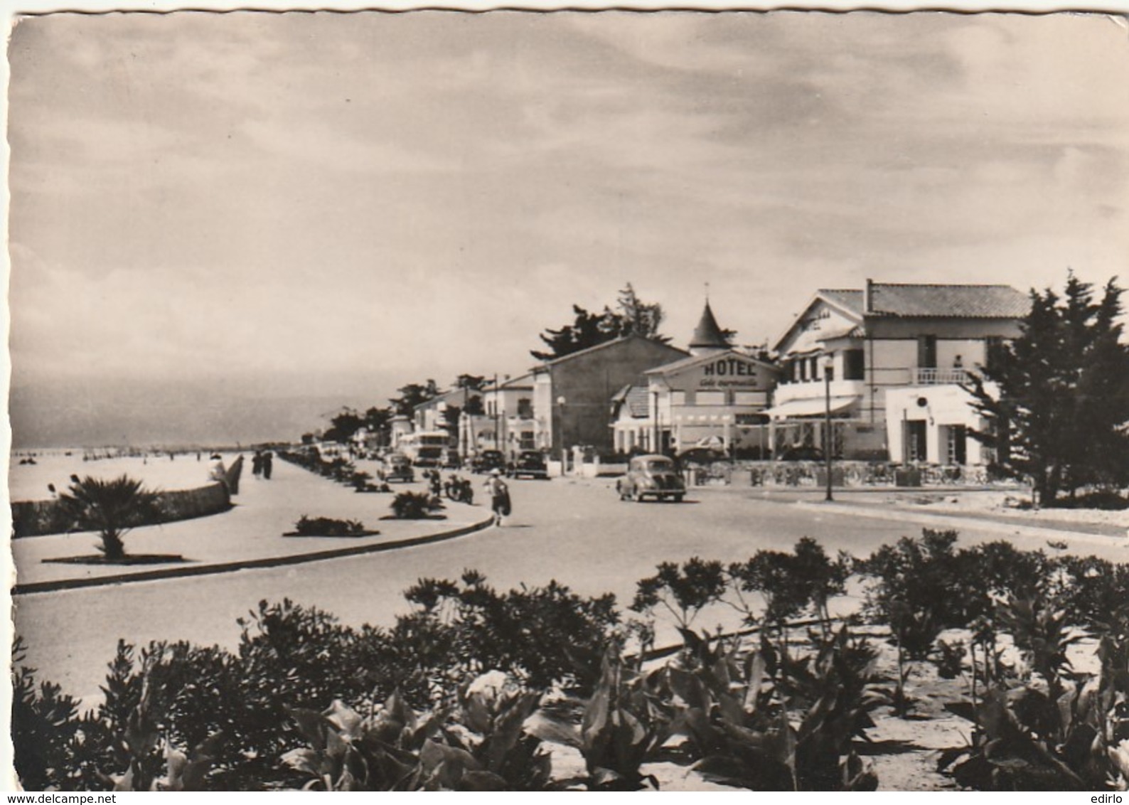 *** 66  ***  CANET PLAGE  Promenade De La Plage - Timbrée - Canet En Roussillon