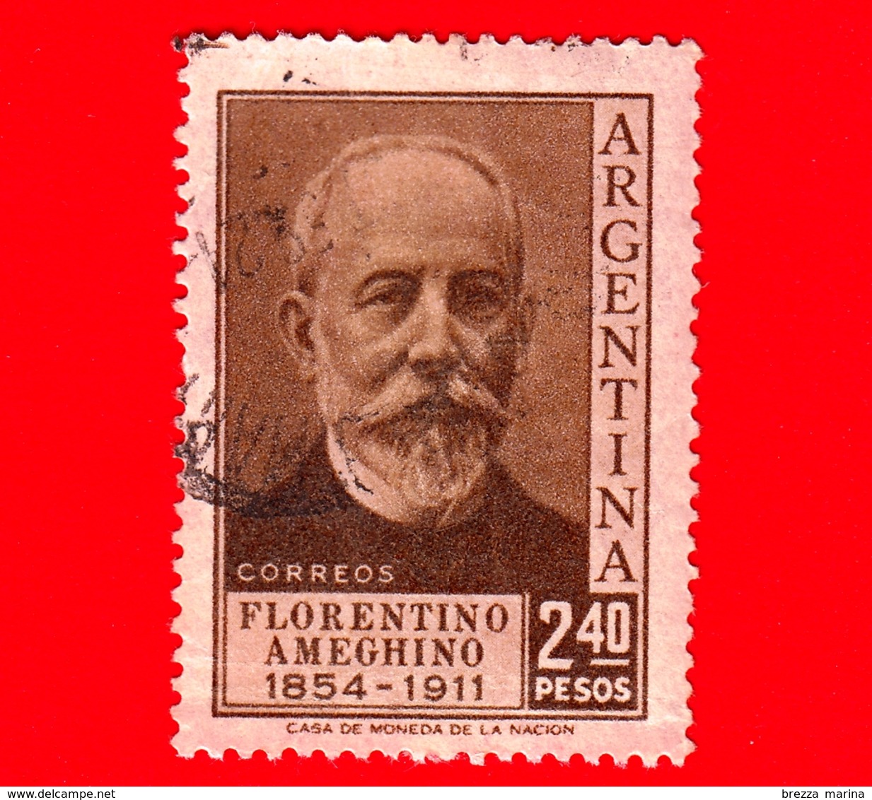 ARGENTINA - Usato -  1956 - Florentino Ameghino (1854-1911) - 2.40 - Usati