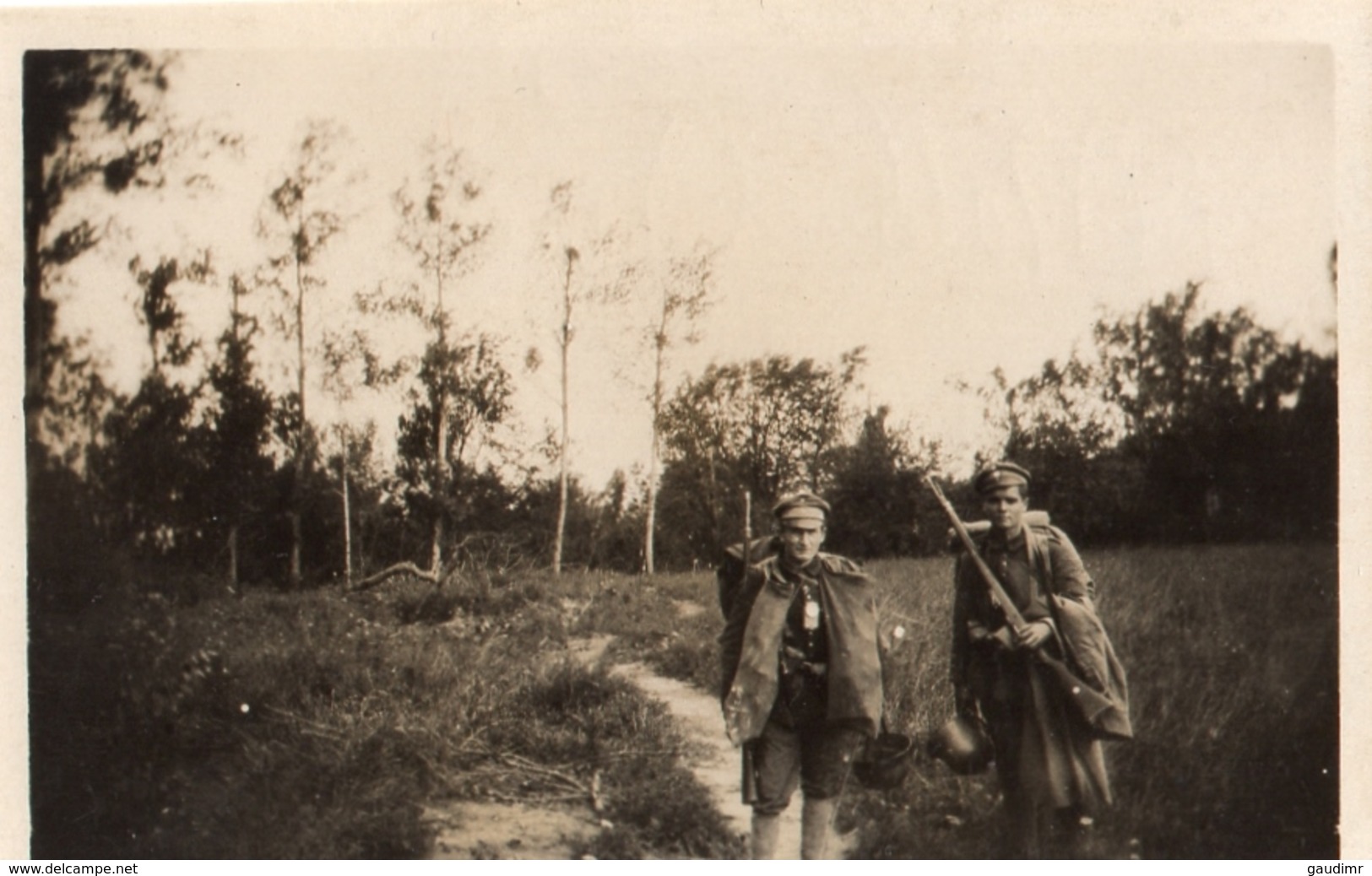 PHOTO ALLEMANDE - SOLDATS DANS LES BOIS PRES DE PINON - CHEMIN DES DAMES 1917 -  GUERRE 1914 1918 - 1914-18