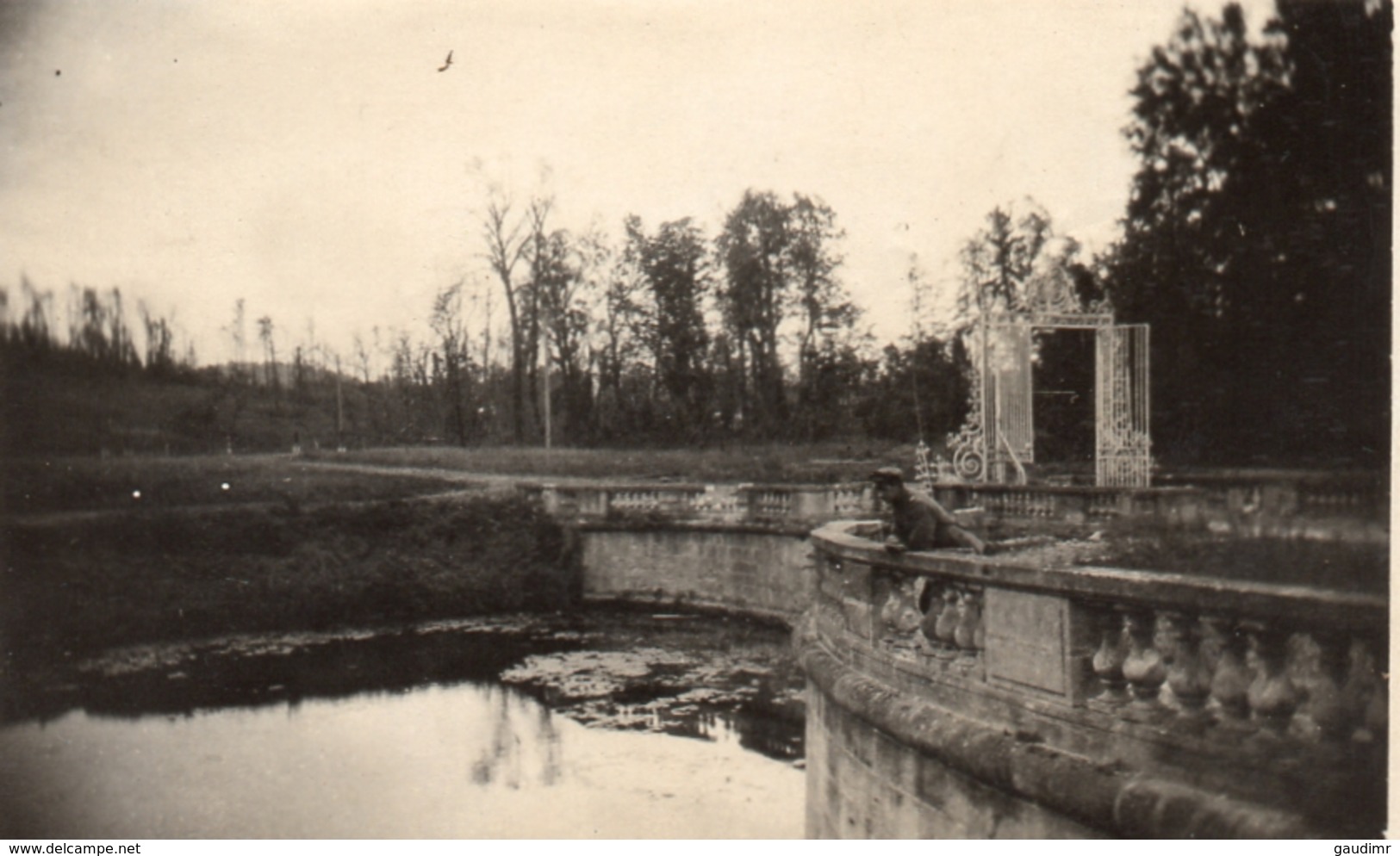 PHOTO ALLEMANDE - OFFICIER DANS LE PARC DU CHATEAU DE PINON - CHEMIN DES DAMES 1917 -  GUERRE 1914 1918 - 1914-18