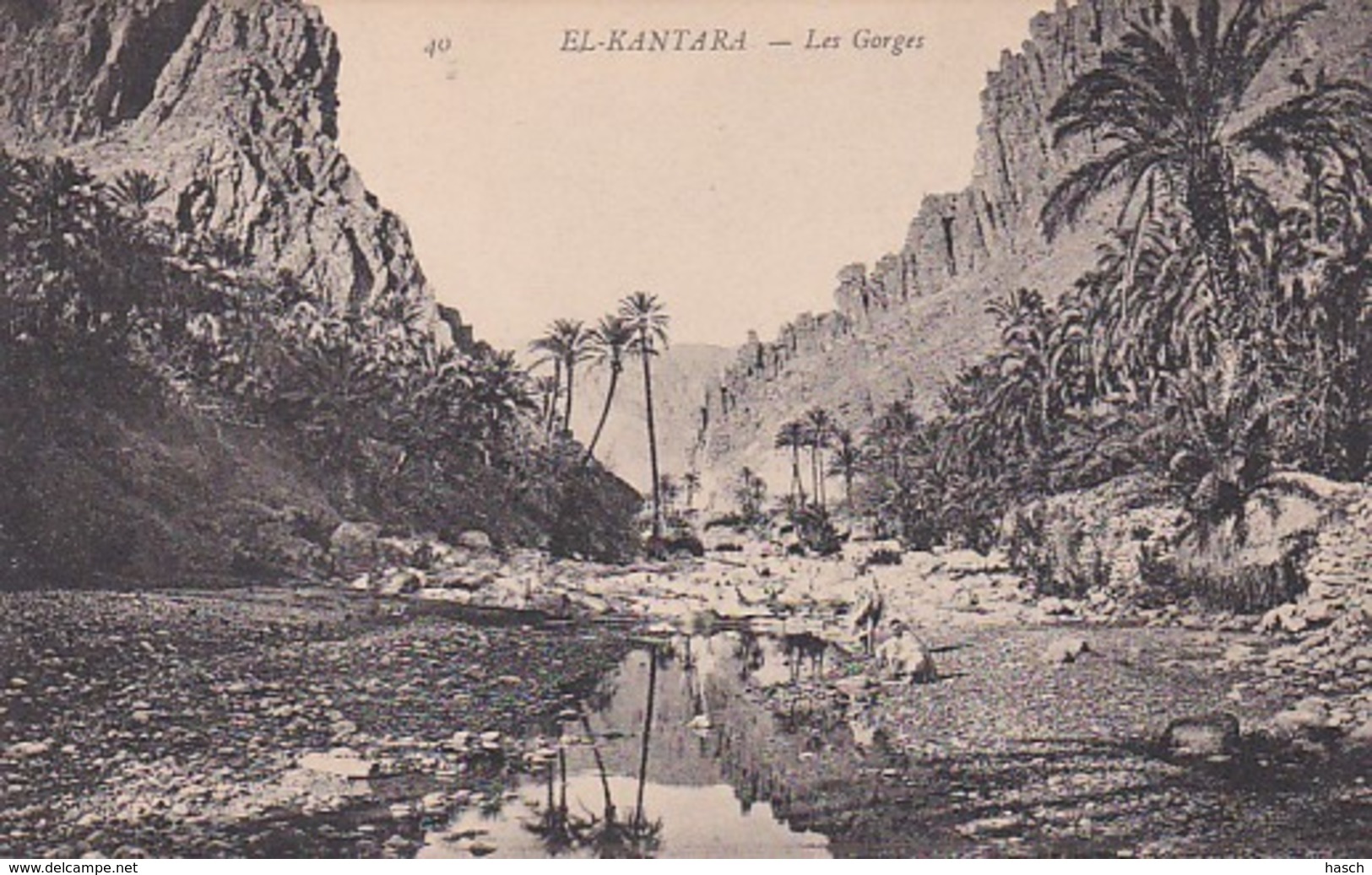 2852	202	El Kantara, Les Gorges - Autres & Non Classés