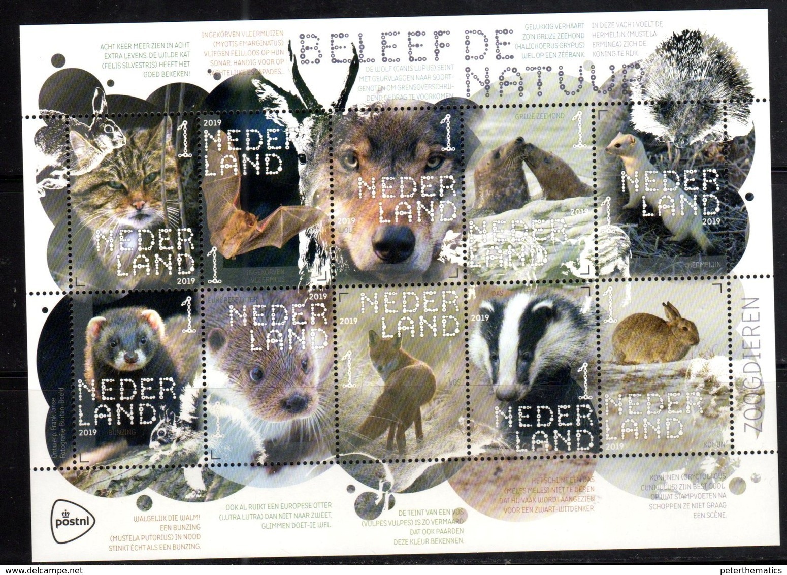 NETHERLANDS, 2018, MNH, FAUNA, WINTER ANIMALS, FOXES, WOLVES, BATS, RABBITS, SEALS, WILD CATS, FERRETS, OTTERS, SHEETLET - Big Cats (cats Of Prey)