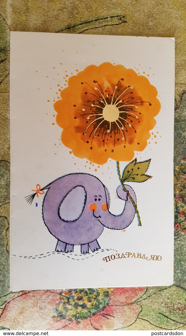 OLD Postcard  -    ELEPHANT  / Humour - Éléphants