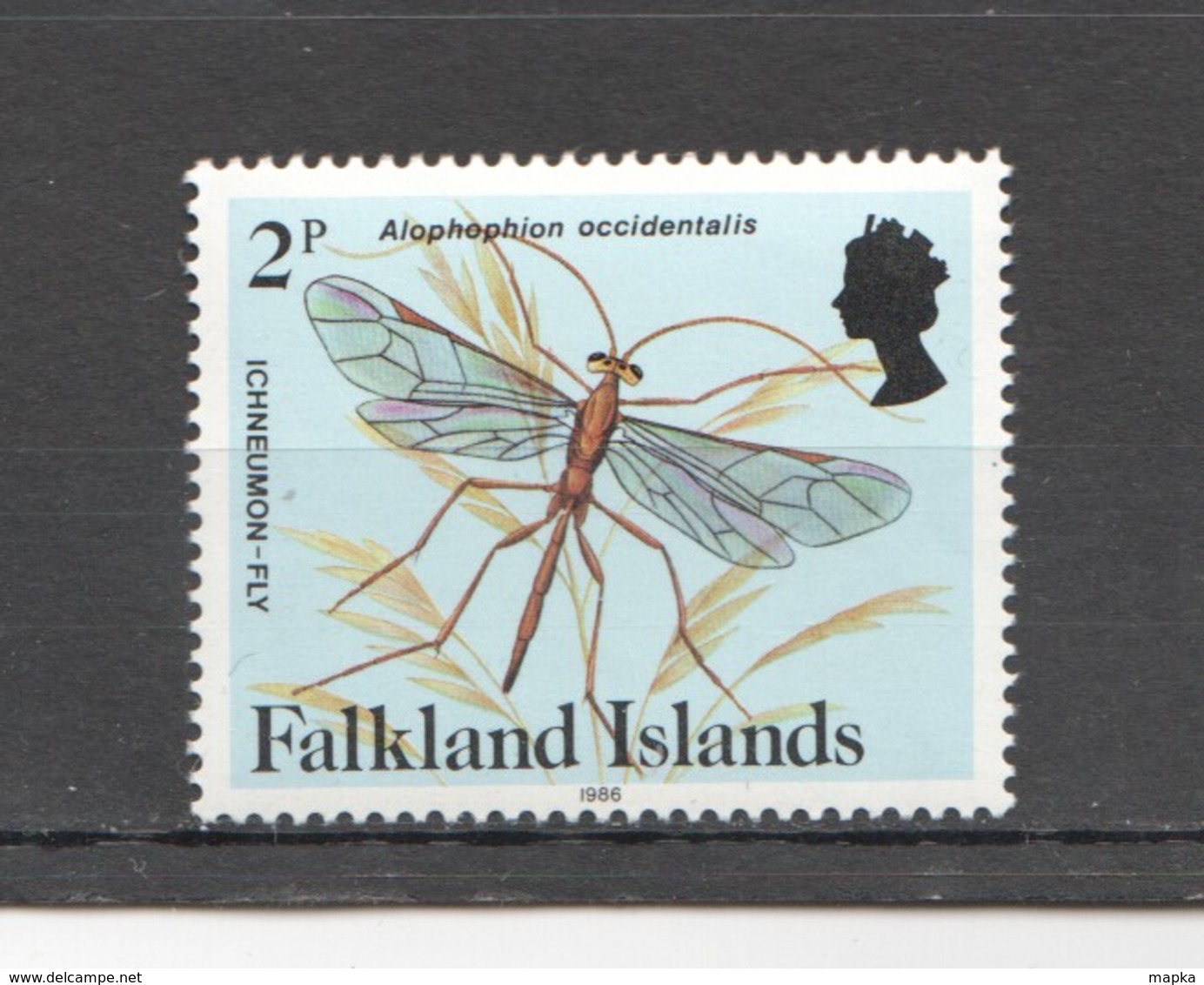 R599 1986 FALKLAND ISLANDS FLORA & FAUNA INSECTS & BUTTERFLIES WITH YEAR 1ST MNH - Autres & Non Classés