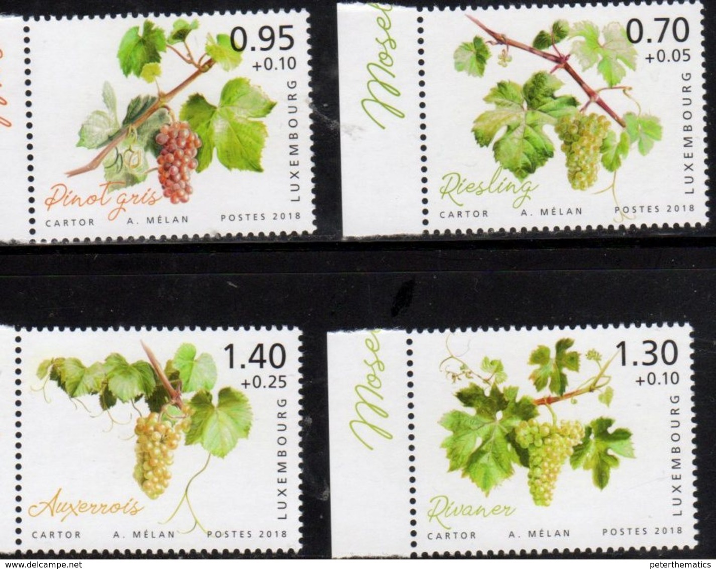 LUXEMBOURG, 2018, MNH, CHARITY STAMPS, MOSELLE REGION, GRAPES, VINES, 4v - Fruits