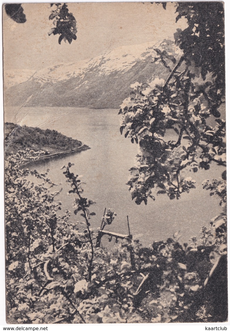 Ullensvang, Hardanger - (Enerett A.B. Wilse - Th. Segelcke Thrap - Serie B Nr. 4) - Norge - Norway - Noorwegen