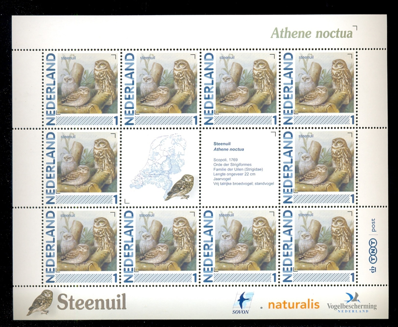 NETHERLANDS COMPLETE SHEET 10v 2011 / 2014 BIRD BIRDS OISEAUX STEENUIL LITTLE OWL HIBOU * MNH - Ongebruikt