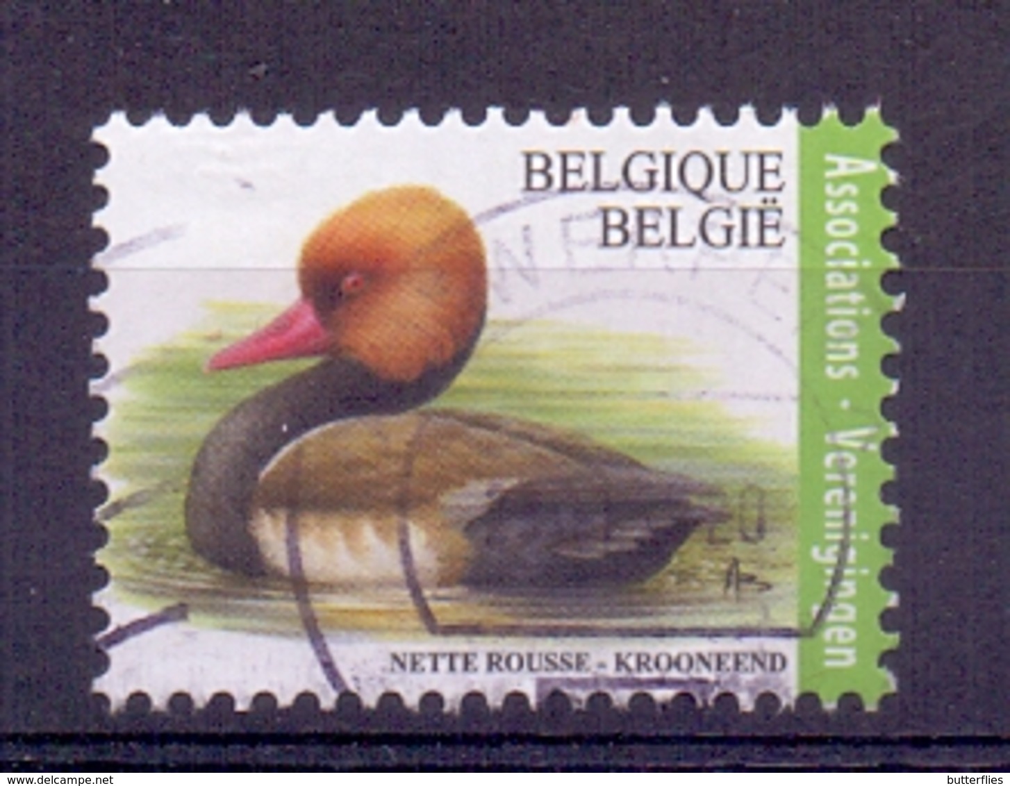 Belgie - 2018 -  Natuur - Krooneend - Oblitérés