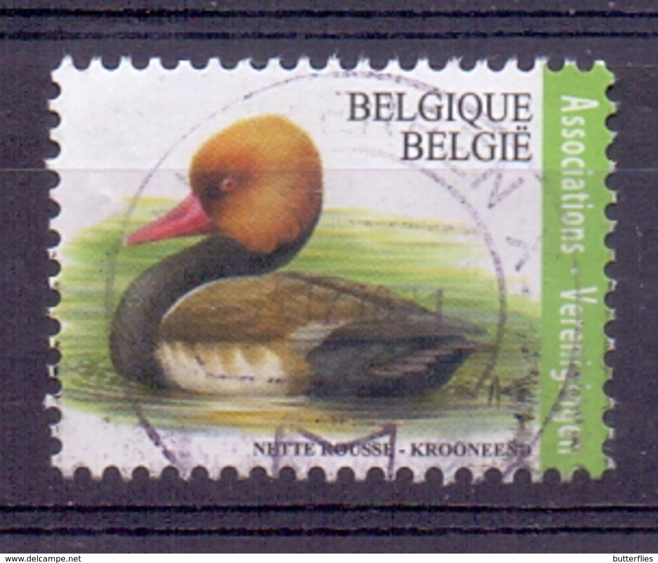 Belgie - 2018 -  Natuur - Krooneend - Oblitérés