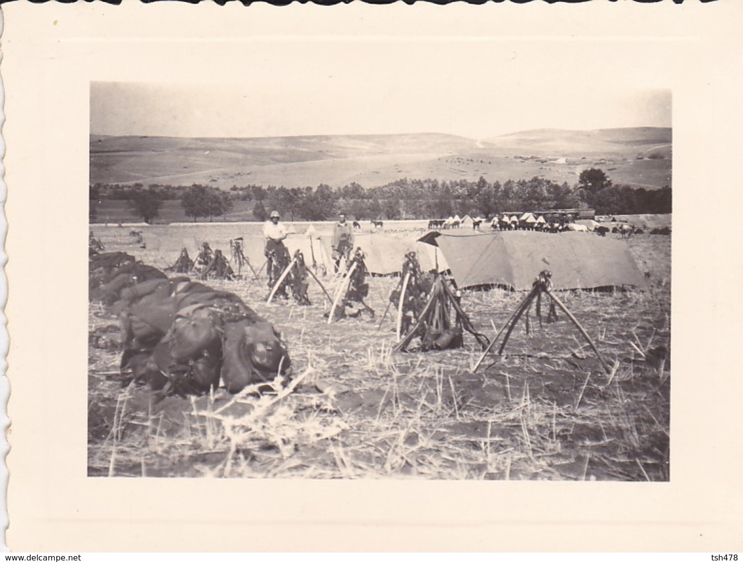 MINI PHOTO--MILITARIA--ALGERIE--OULED RAHMOUN 15-9-1935-Bivouac Montés Dans Le Fond Les Motorisés-voir 2 Scans - Autres & Non Classés