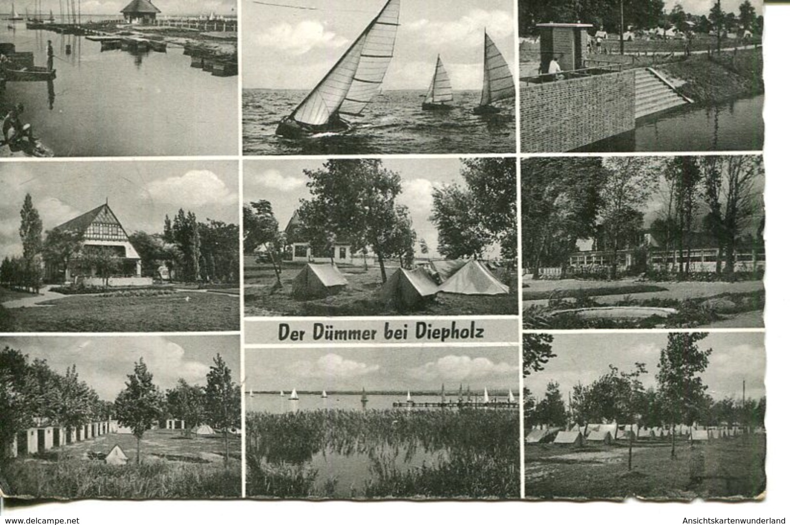 006125  Der Dümmer Bei Diepholz  Mehrbildkarte  1958 - Diepholz