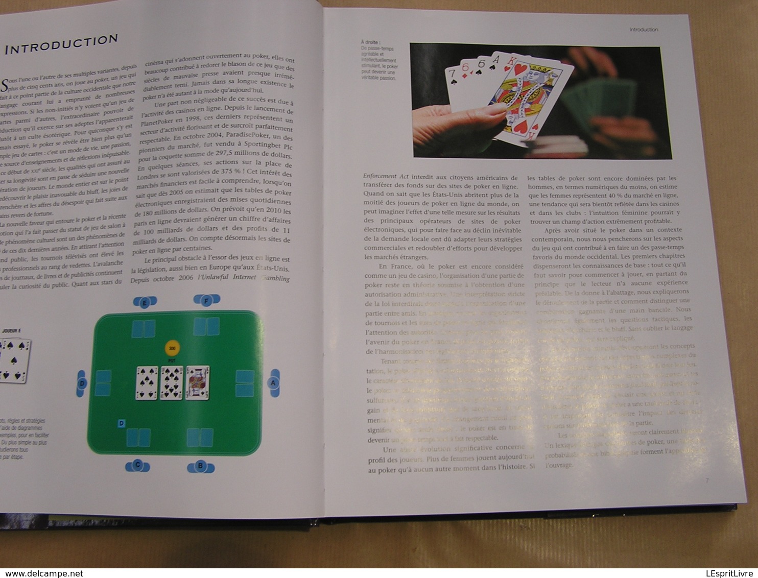 LE GRAND LIVRE DU POKER Histoire Jeu Stratégies Règles Variantes Jeux De Cartes Glossaire Tournoi Casino Internet - Palour Games