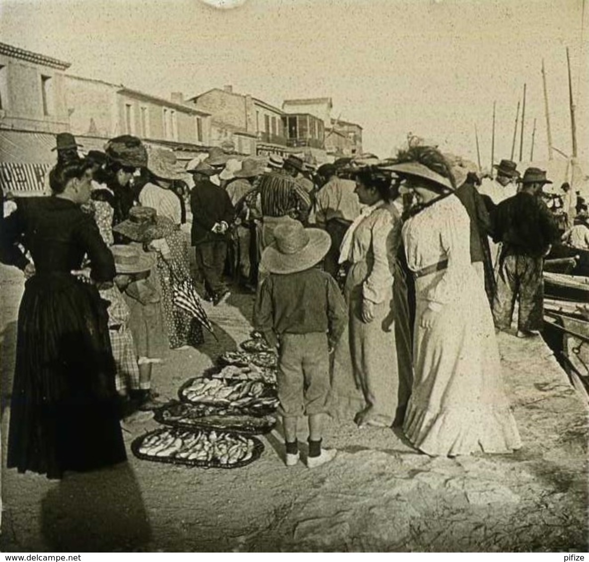 Positif Stéréo . Marché Au Poisson Au Grau-du-Roi . - Photos Stéréoscopiques