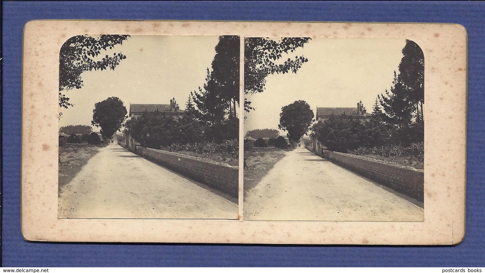 ESTRADA De CANTANHEDE à POCARIÇA (Coimbra). FOTO Estereoscopia. Old Real Photo STEREOVIEW Portugal 1900s - Photos Stéréoscopiques