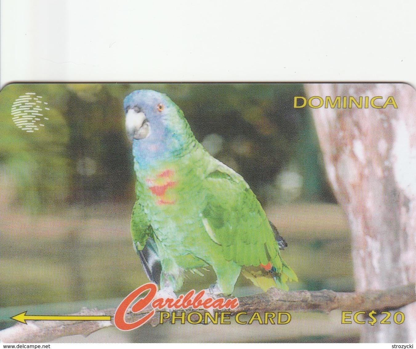 Dominica - Amazona Aurausica - Jaco Parrot - 225CDMA - Dominica