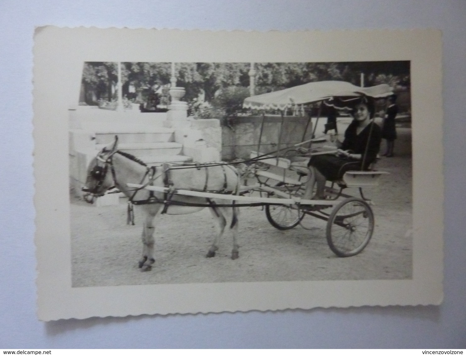 Due Fotografie "Ritratto Sul Calesse" F.lli Valentis, Reggio Calabria Anni '50 - Persone Anonimi