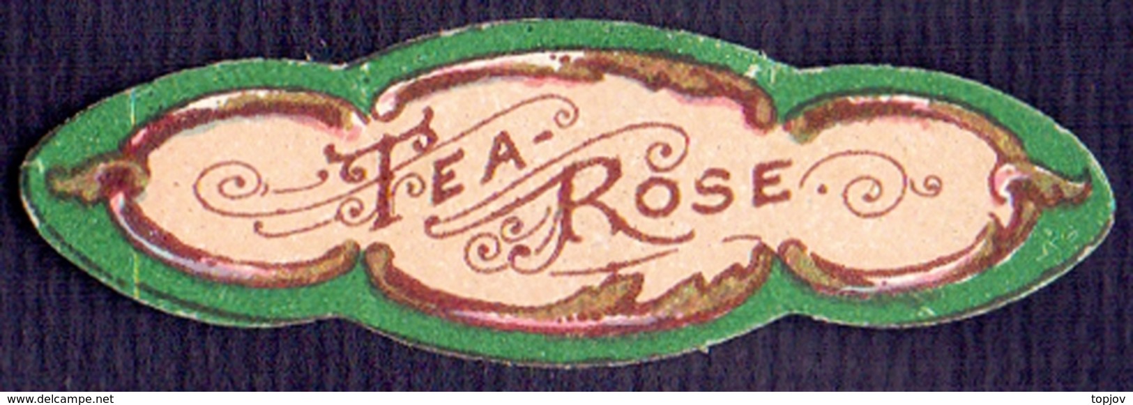 PRINT From J. STERN BERLIN -  TEA  ROSE - Cc 1910/15 - Etiquettes