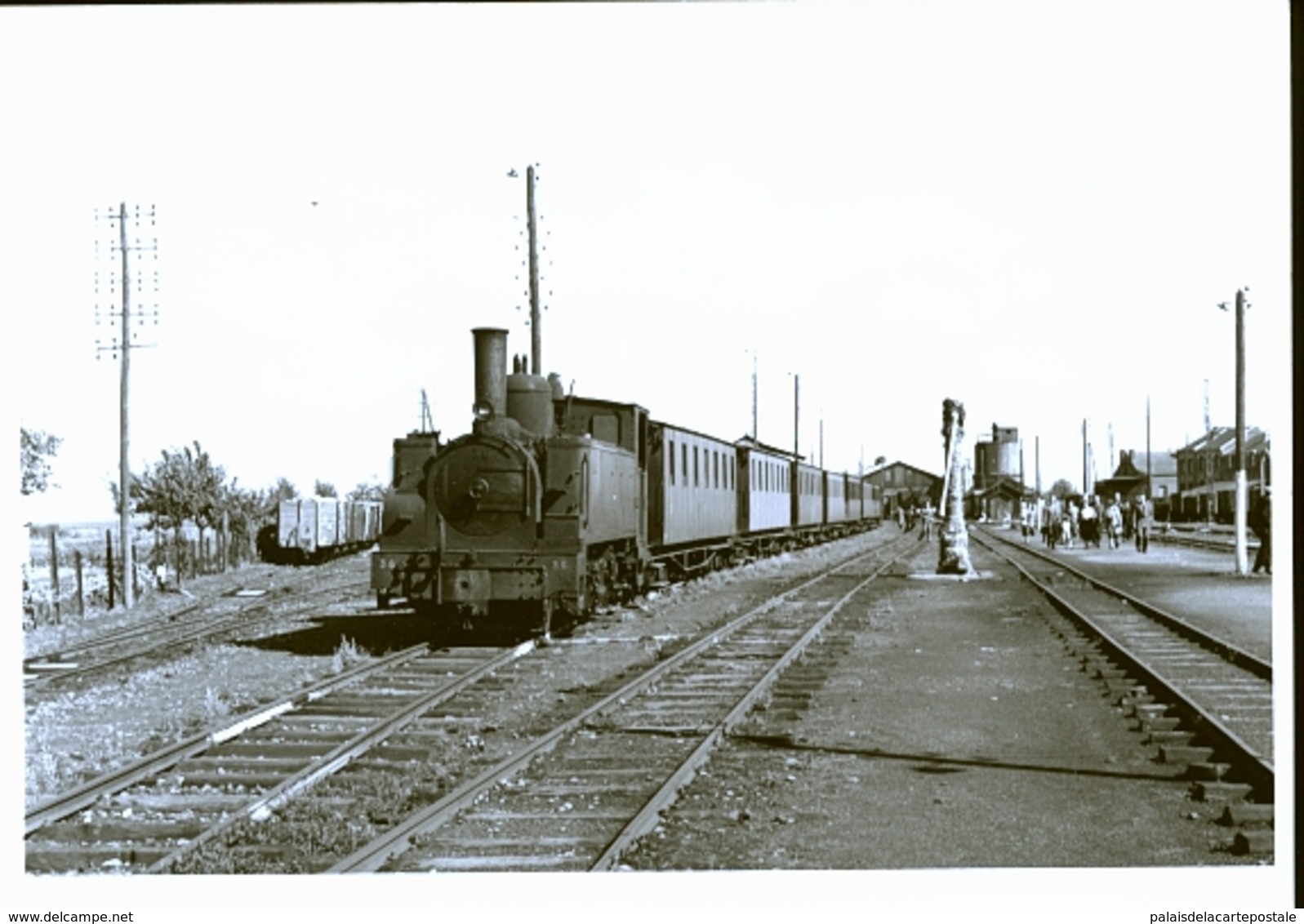 PHOTO ORIGINALE    CLICHE DE BAZIN              JLM - Stations - Met Treinen