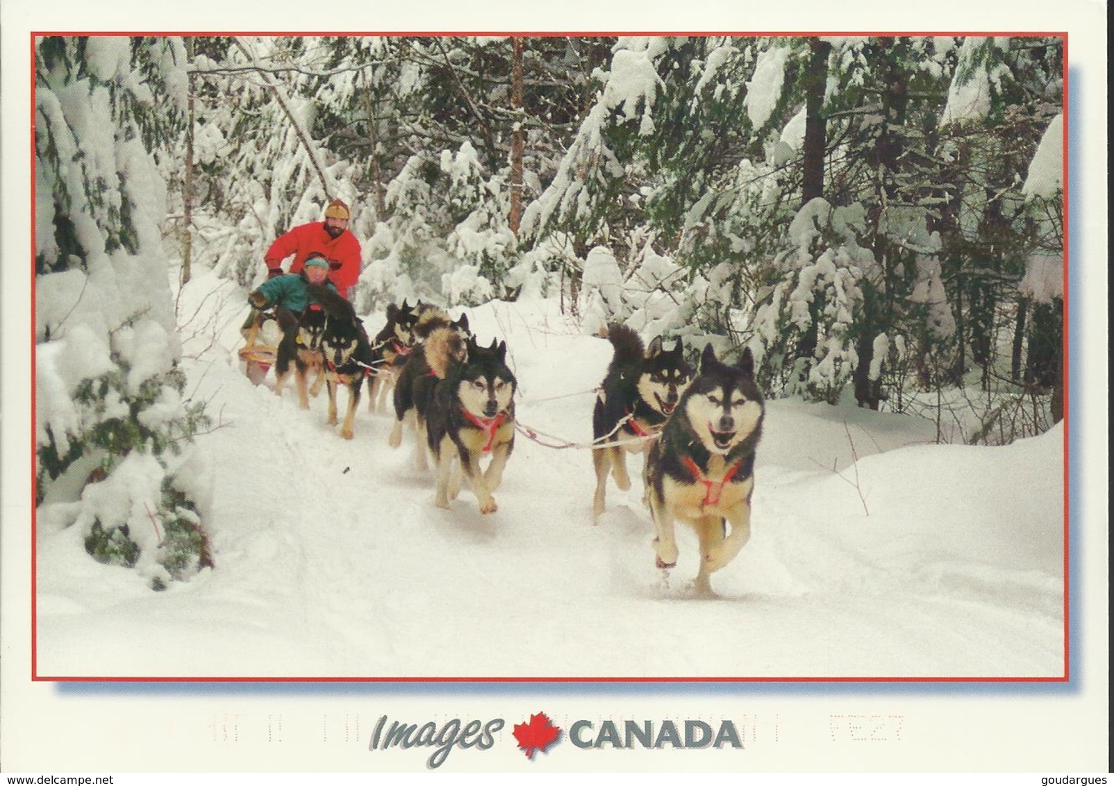 Une Balade En Traîneau-à-chiens - Photo G. Pouloit - Timbre Auto-adhésif De 2005 "149" - Non Classés