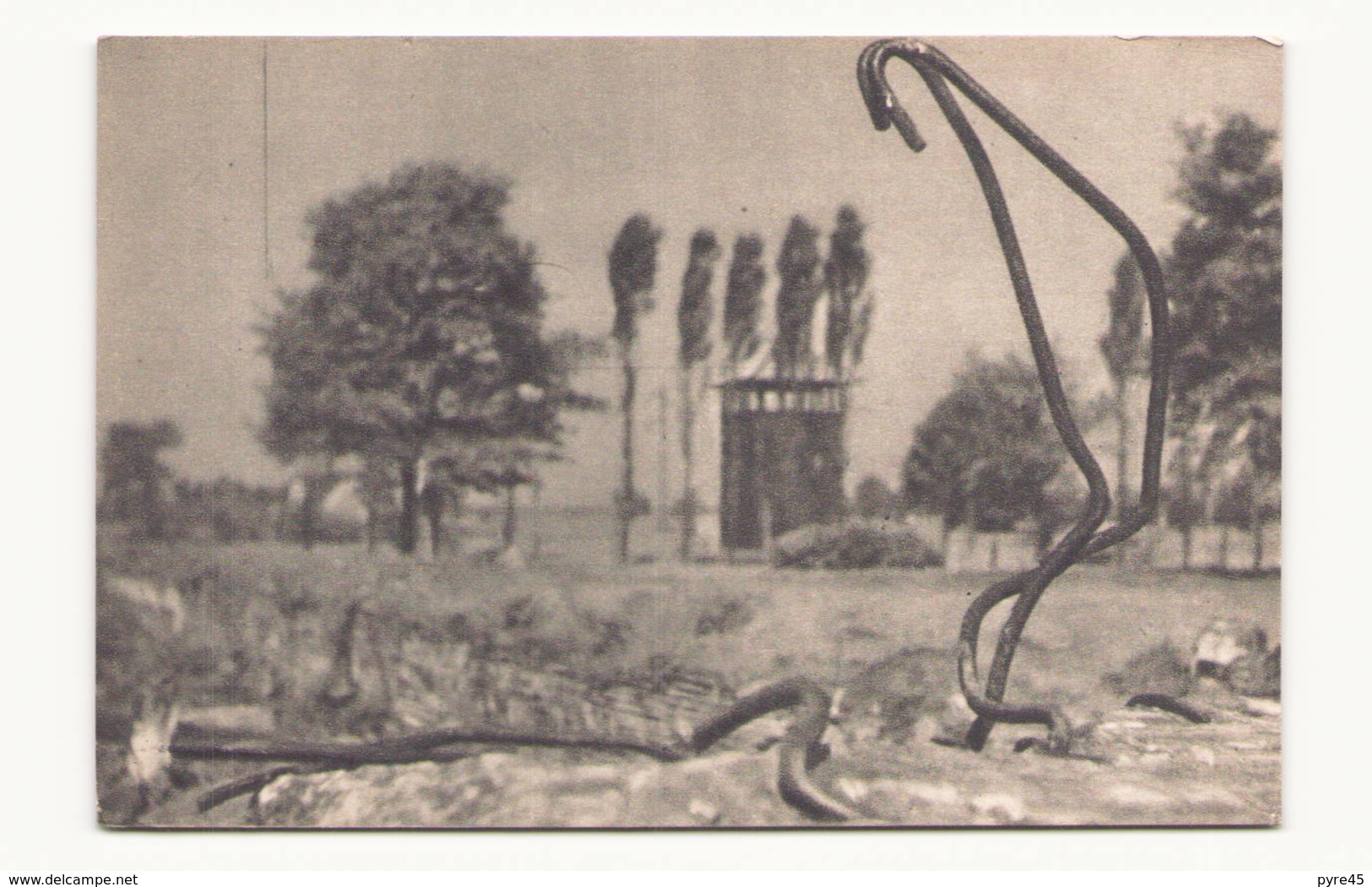 POLOGNE BRZEZINKA BIRKENAU VUE SUR LES RUINES ET L ENTOURAGE DES CHAMBRES A GAZ ET DU CREMATOIRE II - Pologne