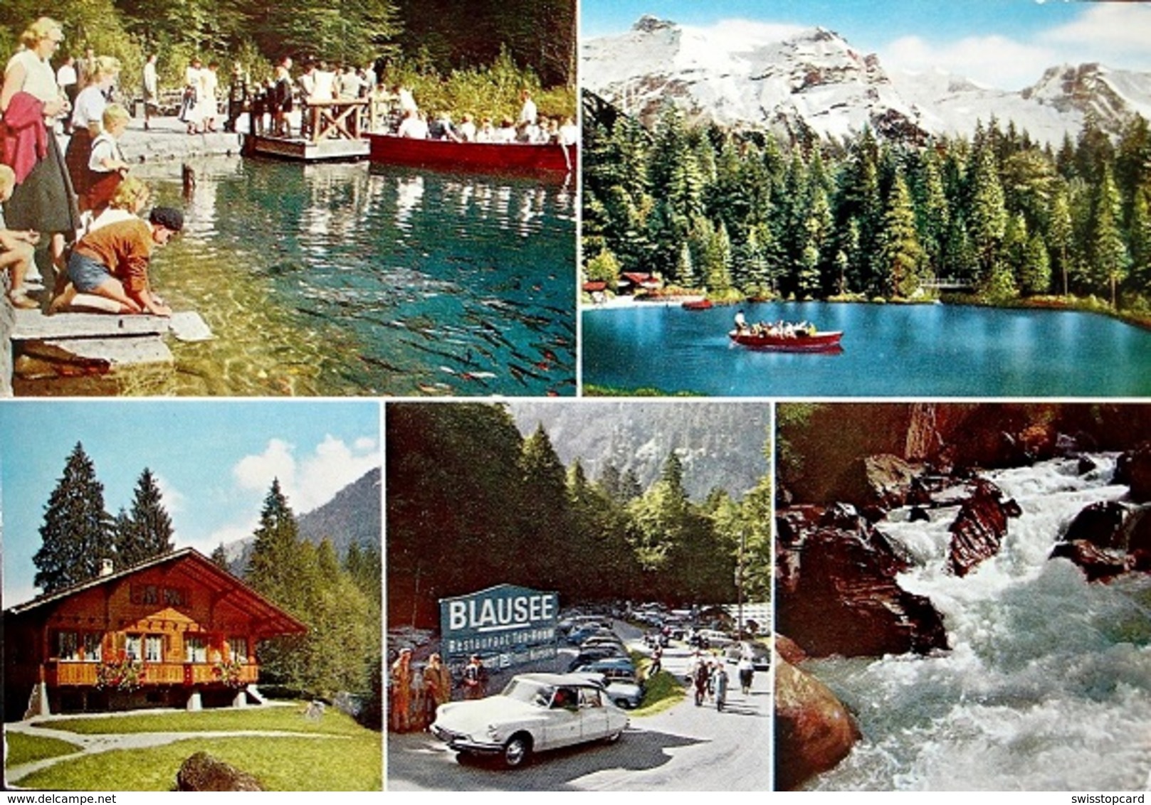 FRUTIGEN Blausee Im Kandertal Auto - Frutigen