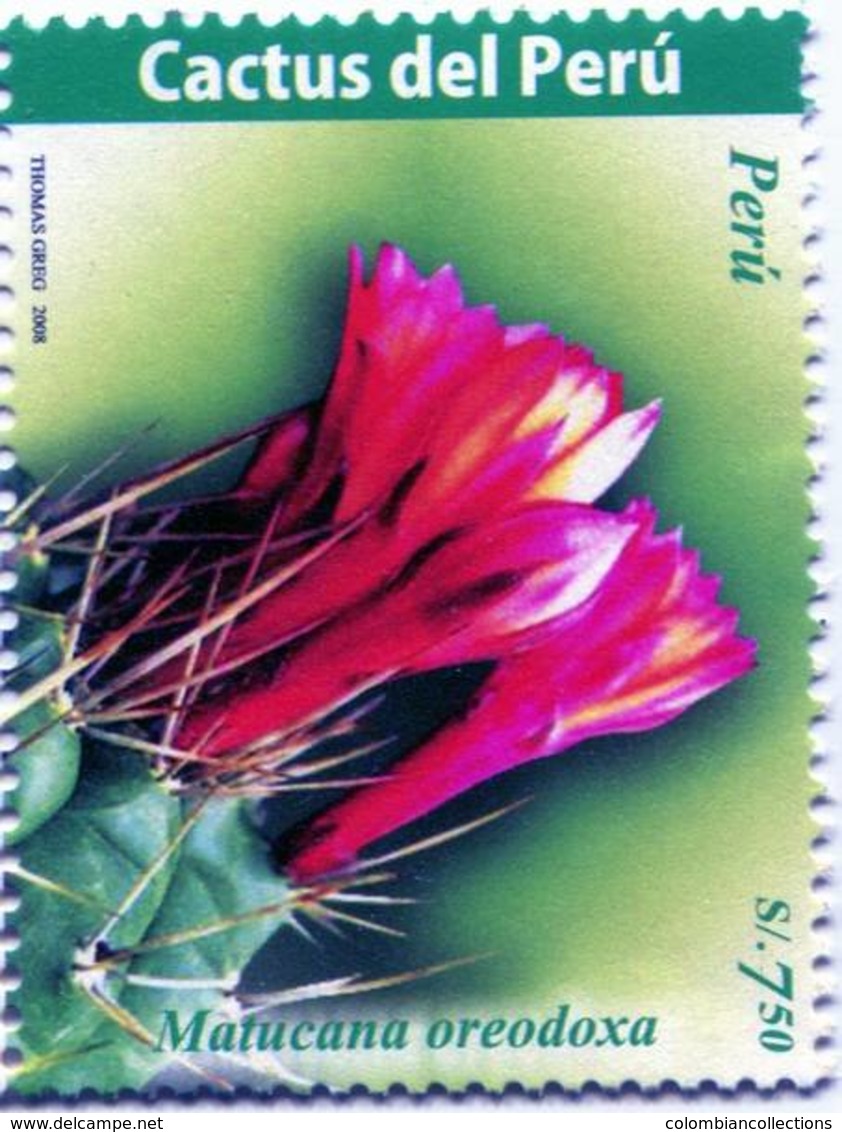 Lote P2008b, Peru, 2008, Sello, Stamp, 3 V, Cactus, Flower - Perú