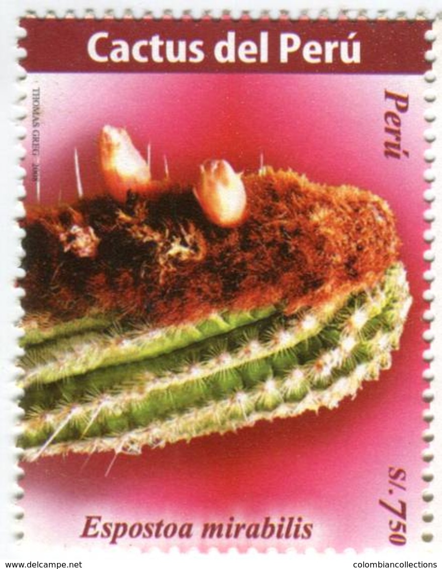 Lote P2008b, Peru, 2008, Sello, Stamp, 3 V, Cactus, Flower - Perú