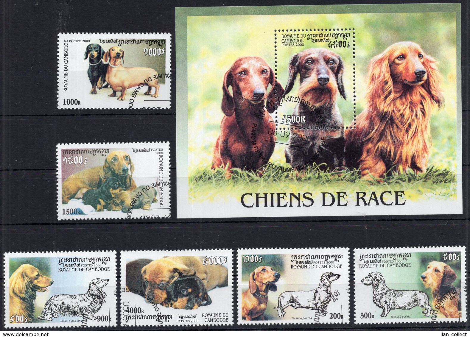 Cambodge 2000 - Dogs Chien De Races - Stamps CTO - G103 - Other & Unclassified