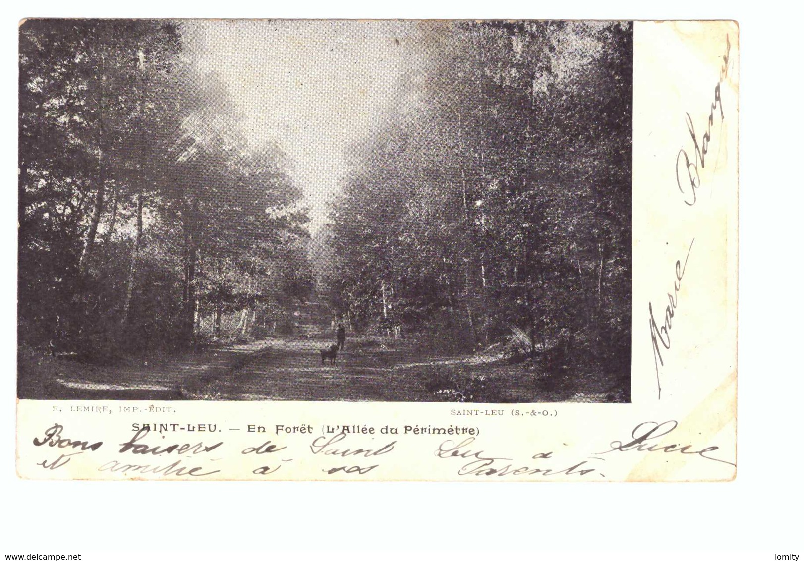 95 Saint Leu En Foret L' Allée Du Périmetre Cpa Animée Homme Chien Cachet Convoyeur Ambulant Mery à Ermont 1903 - Saint Leu La Foret